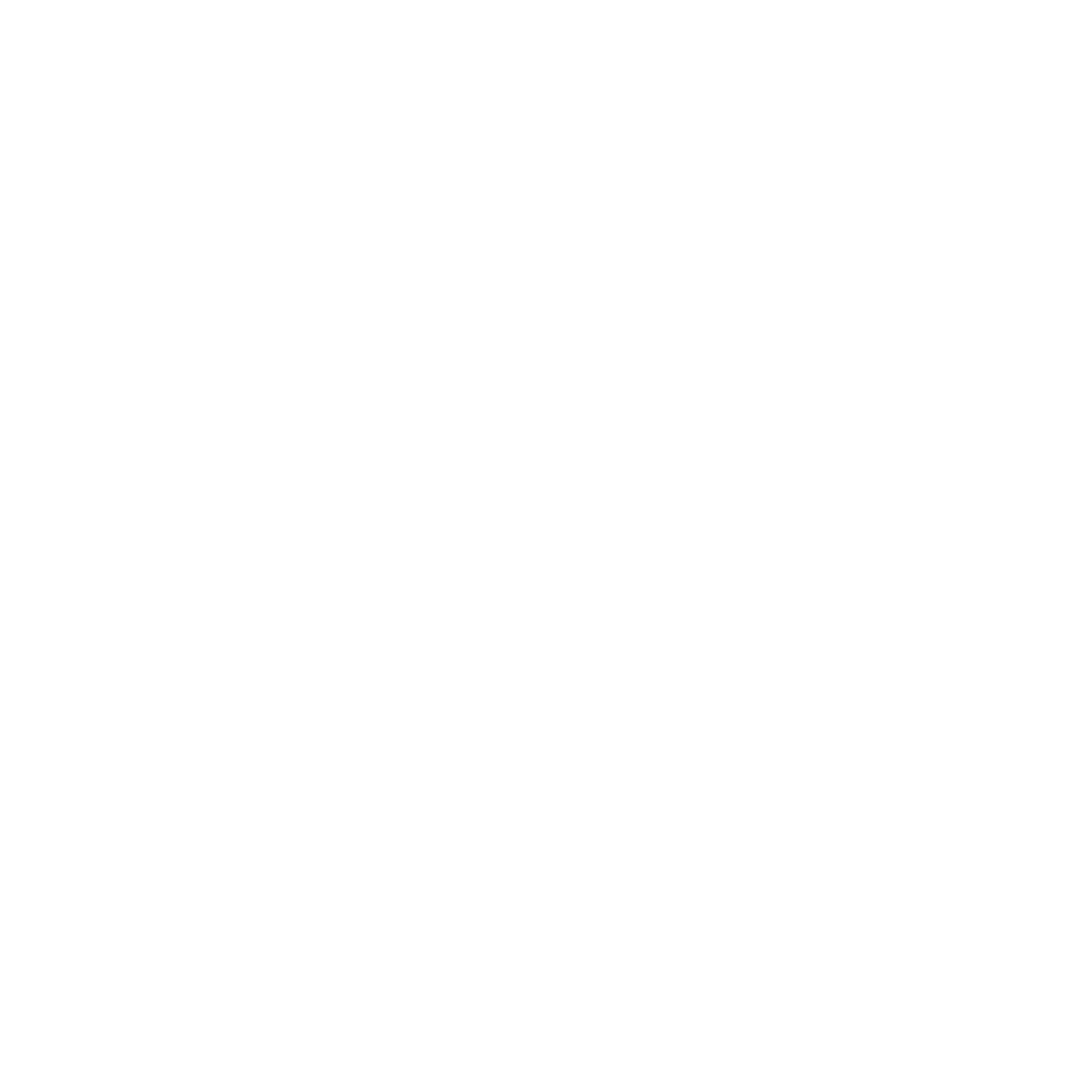 SPICYBEAN White Logo